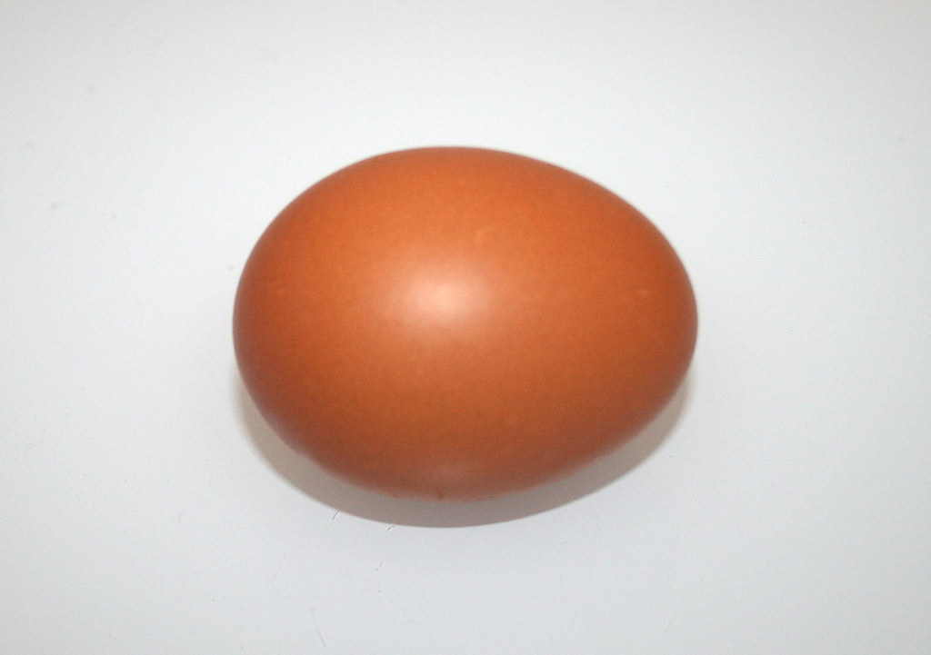 05 - Zutat Hühnerei / Ingredient chicken egg | [Rezept / Rec… | JaBB ...
