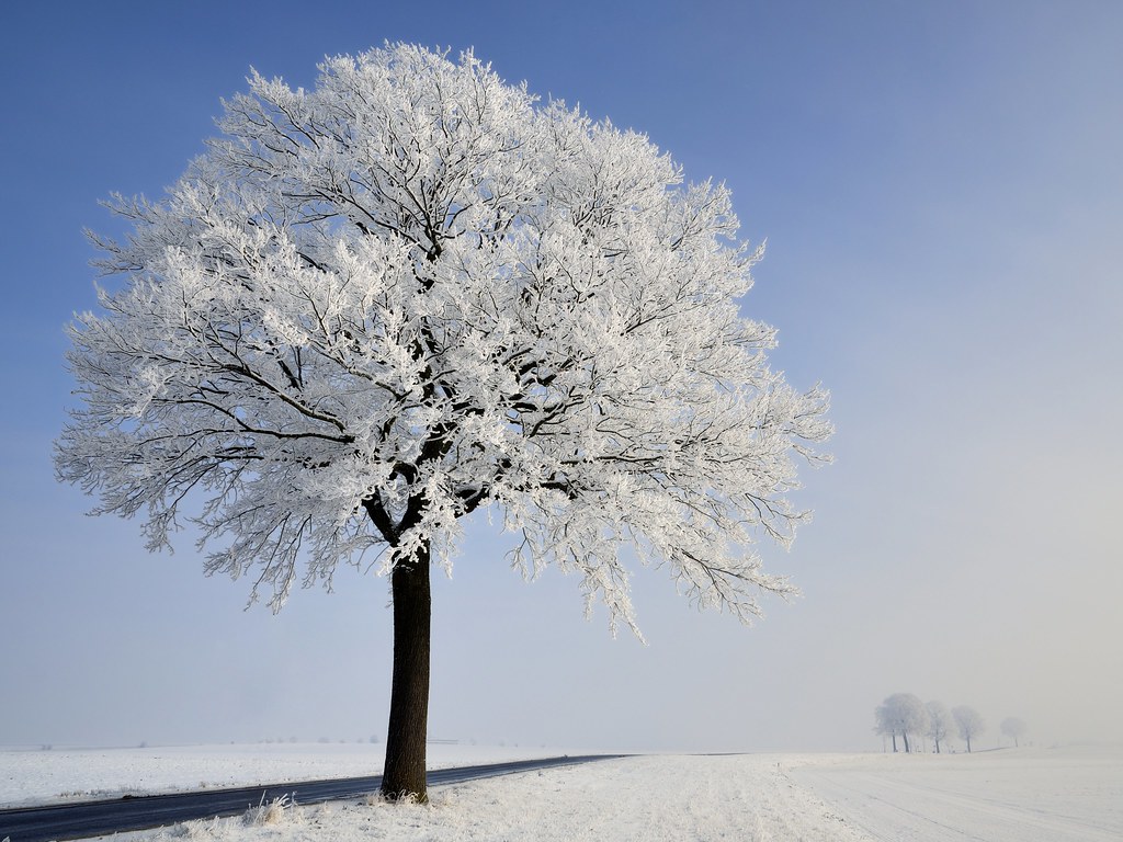 freezing-fog-available-on-getty-images-pierre-hanquin-flickr