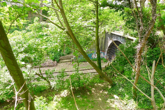 La Petite Ceinture - Paris Rive Gauche