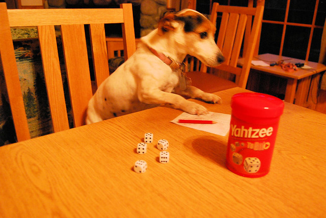 Dawgs can play Yahtzee and board games with their families in the cabins at Virginia State Parks