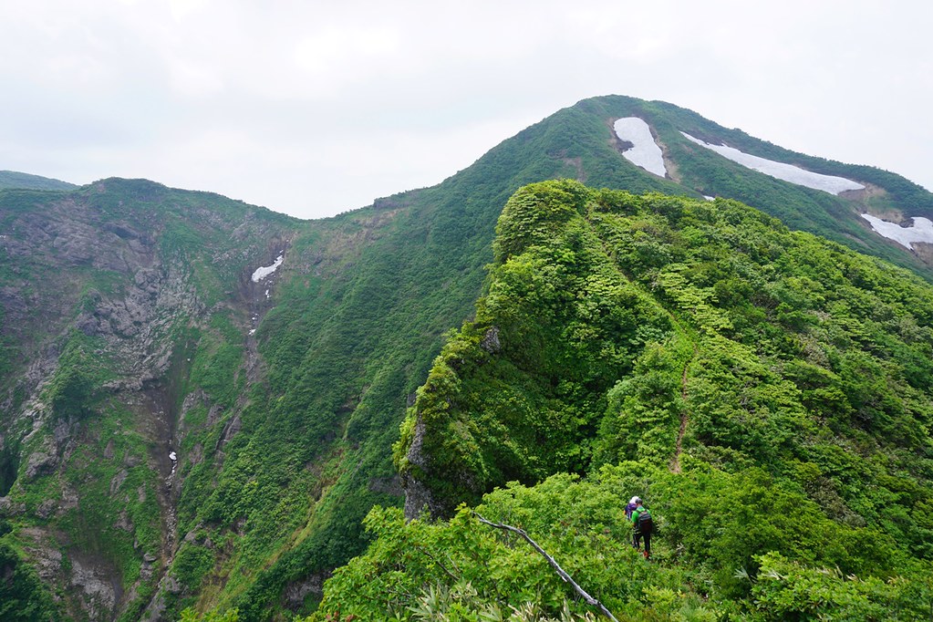 浅草岳　ヒメサユリの大群生と大岩壁の稜線登山（六十里越～鬼ヶ面山）