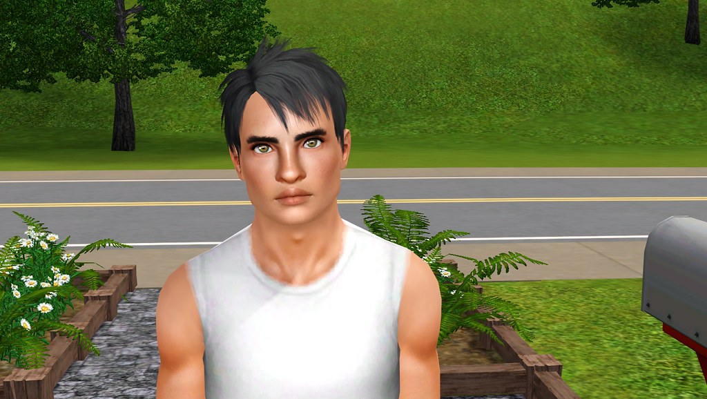 sims 3 default skin replacement not showing up
