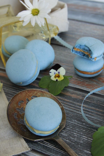 French Country Macarons