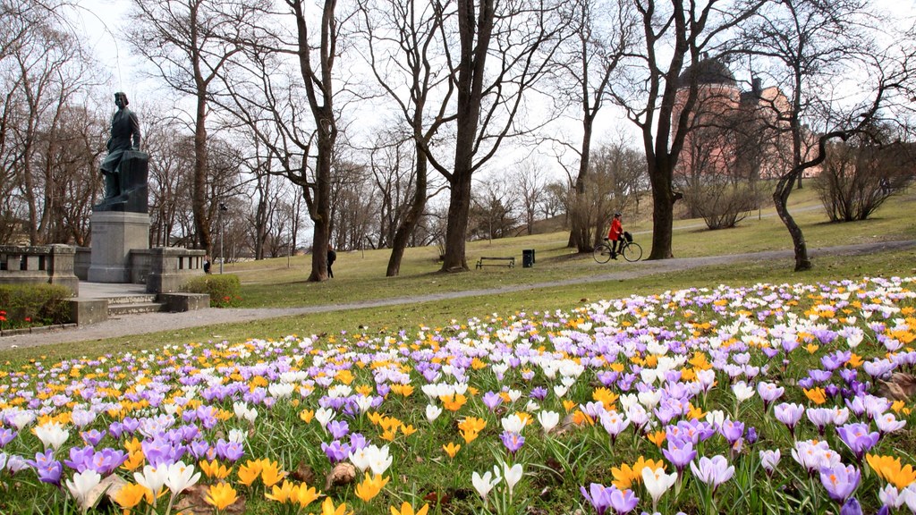 Scandinavia Spring Spring Sweden , Top things to do in Stockholm in spring – SWLHHE