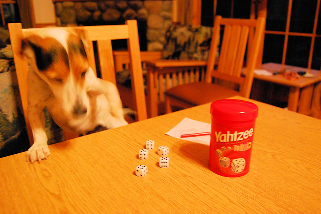 Dawgs can play Yahtzee and board games with their families in the cabins at Virginia State barks