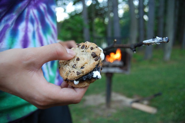 You can make s'mores any way you choose, standard drill with graham crackers or add cookies at a Virginia State Park