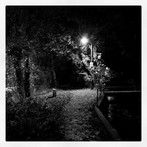#Spooky #night #riverside walk #bishopstoke #Eastleigh #ri… | Flickr
