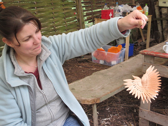fan bird carving course