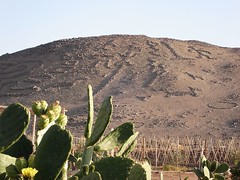 Arica y valle de Azapa