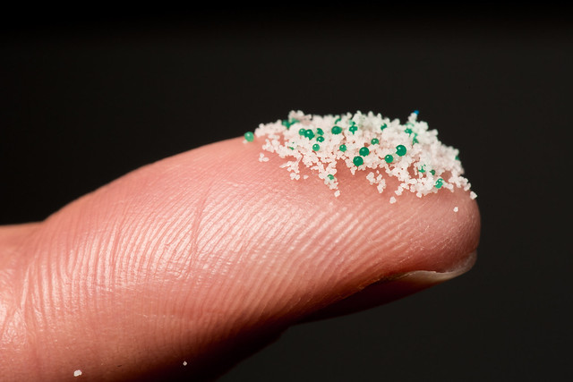 微塑膠指5mm以下的塑料，由於體積非常小，正透過海洋生物進入食物鏈。圖片來源：台灣綠色和平組織