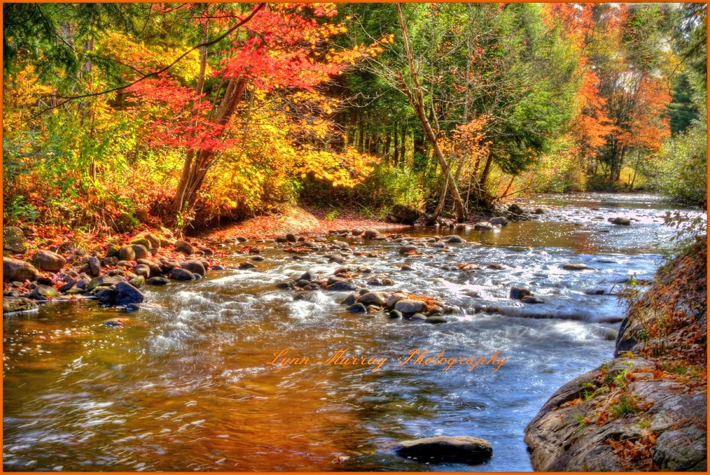 Fall Stream, Degrasse Upstate NY | Lynn | Flickr