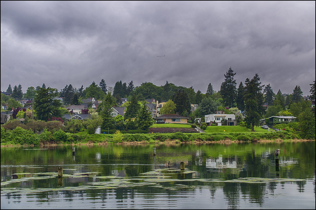 View across Andrews Bay ~ Lake Washington