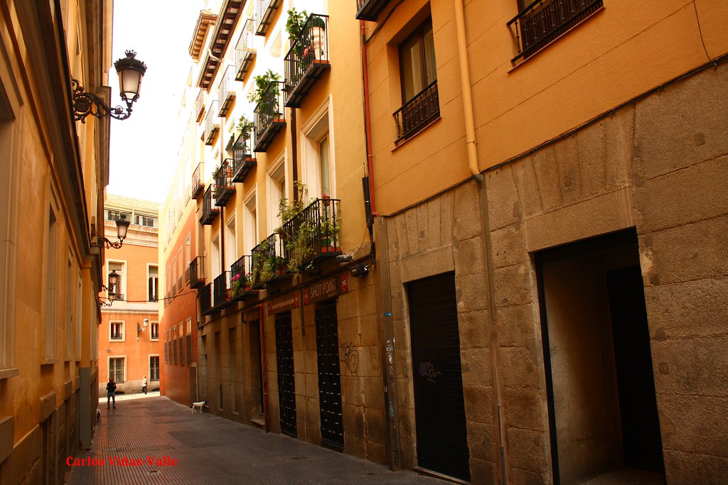Résultat de recherche d'images pour "Calle de la paz Madrid"