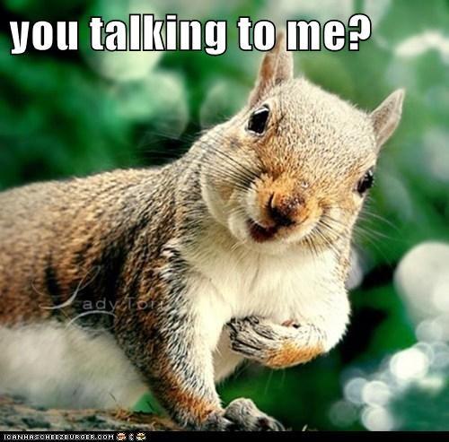 You talking to me squirrel | www.slapcaption.com/you-talking… | Flickr