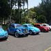 Exhibición VW Beetle Clásicos