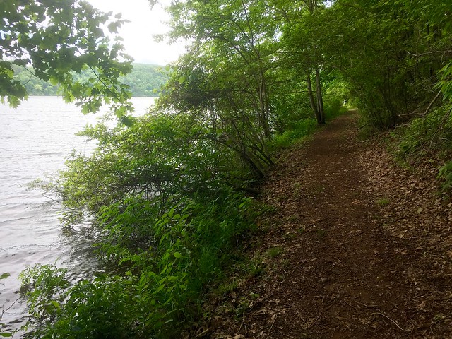 A glimpse at the Lakeshore Trail, which truly does run right along the Lake at Holliday Lake State Park in Virginia