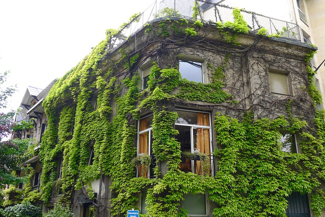 La Petite Ceinture - Paris Rive Gauche