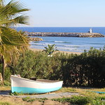 019sp. Playa de Artola, Cabopino, Marbella, Spain. 26-Jan-15; Ref-D108-P019sp