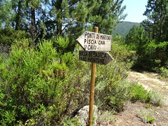 Panneaux à l'embranchement A Fugulina/descente vers Piscia Cava
