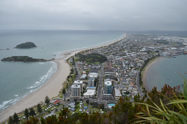 inkdrop studio mt maunganui