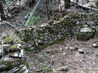 RD du Carciara (branche Paliri) : vestiges de deux caseddi imposants après démaquisage