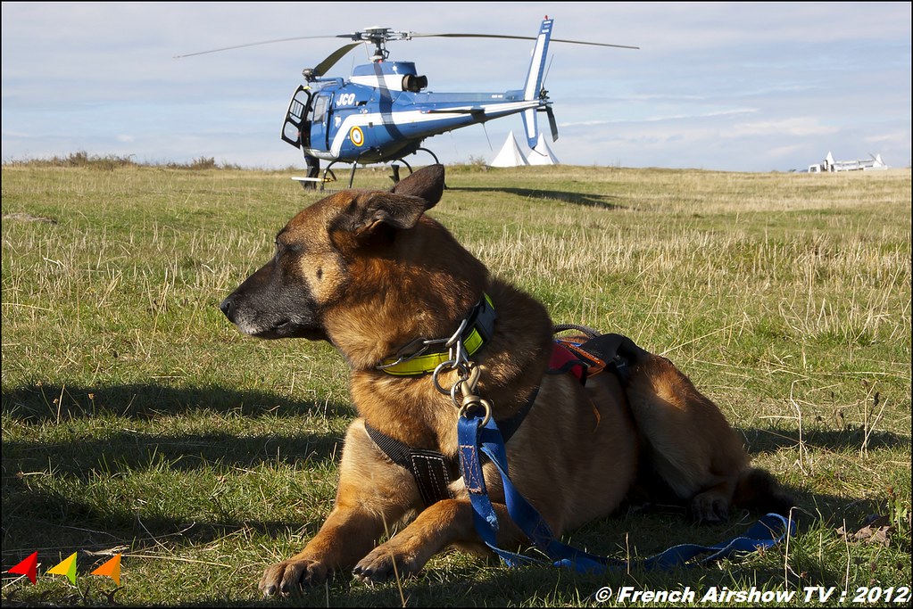 Maitre Chien Gendarmerie cynophile photographe canin auvergne clermont ferrand