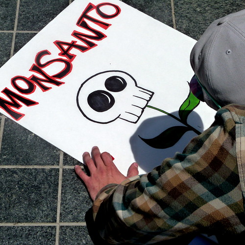 someone in a plaid shirt and cap leans over a protest sign they are making that reads Monsanto and has a picture of a plant with a human skull where the flower should be