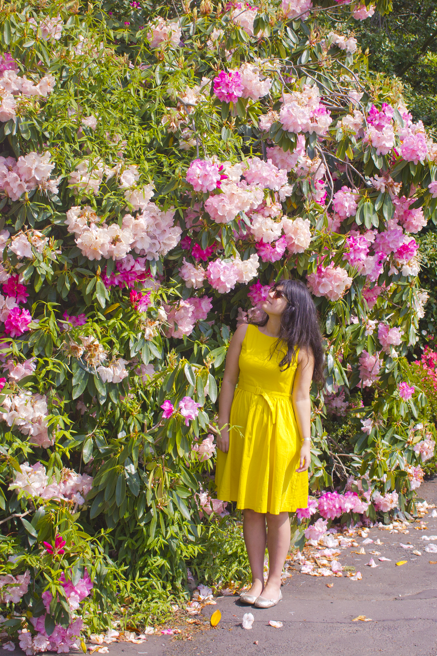 girl in yellow, yellow dress, girl holding yellow leaf, yellow leaf, rhodedendron, glasgow botanical garden, yellow fifites dress, pink flowers, pink and white flowers, floral, garden, flowers, flower, glasgow