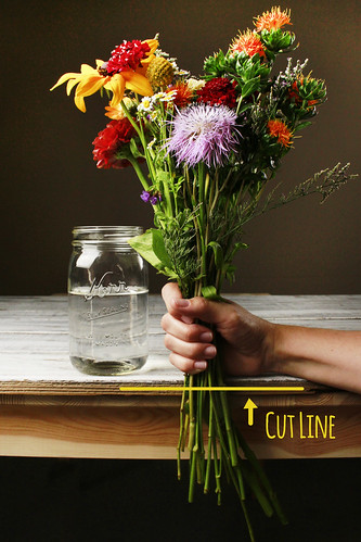 How to Care for Your Fresh Cut Flowers in 5 Easy Steps