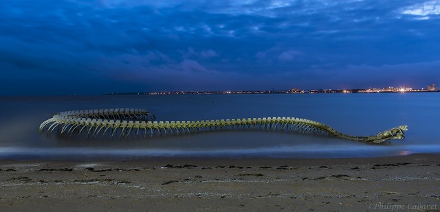 Serpent d'Ocean. Blue Hour. 22:47