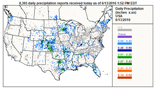Daily Precipitation Reports chart