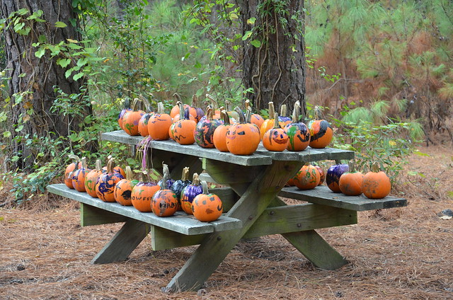 Fall Festival at James River State Park is a family friendly event that starts at 1PM and lasts until after dark on October 17, 2015