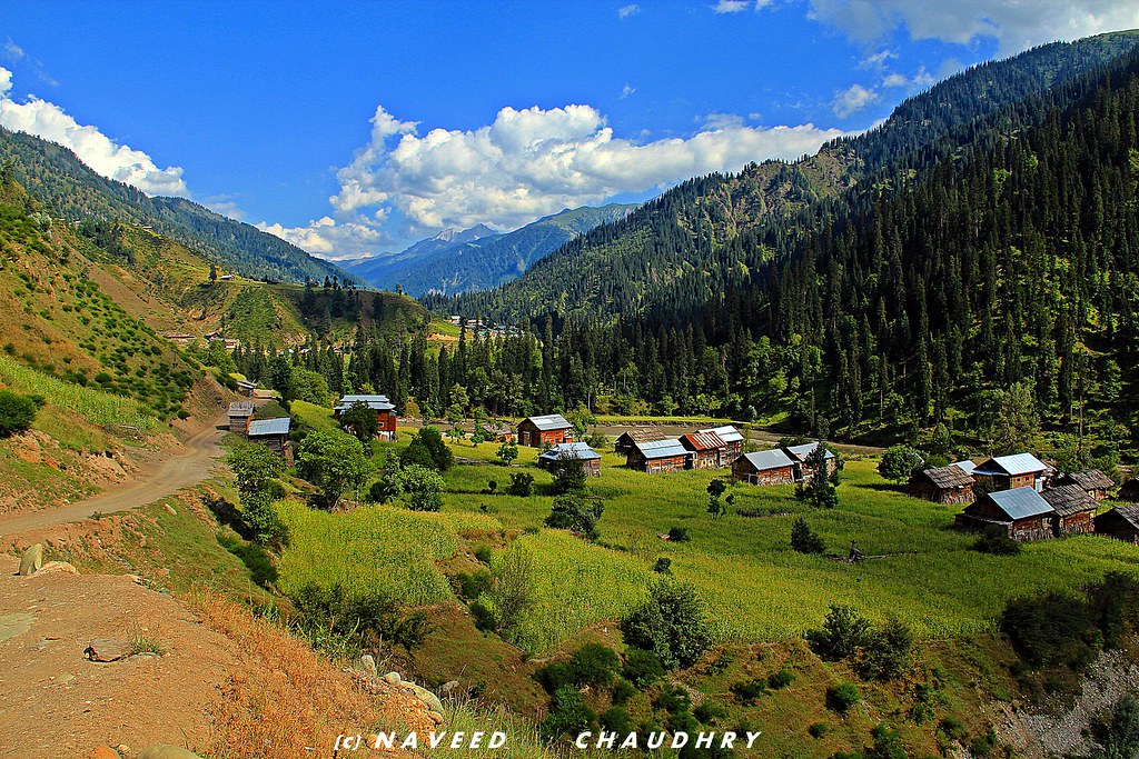 Halmat Village, Neelam Valley Azad kashmir | Naveed Chaudhry (new bird ...