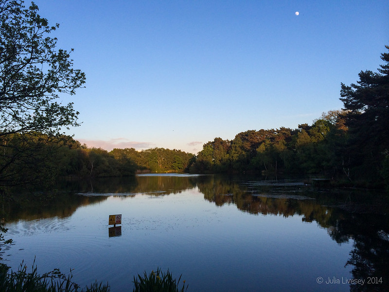 Twilight at Creekmoor Ponds