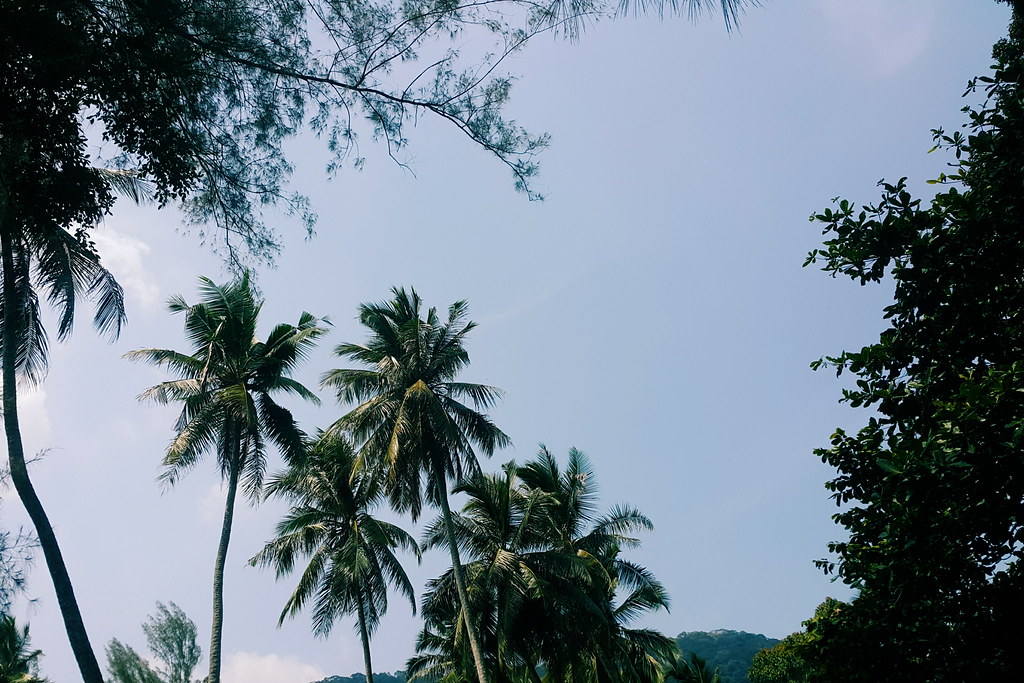 Monkey Beach & Muka Head LightHouse Are Penang's Hidden Treasures