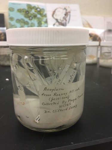 Image of jar filled with shell vials, completely submerged in ethanol. 
