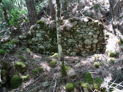RD du Carciara (branche Paliri) : vestiges de deux caseddi imposants avant démaquisage