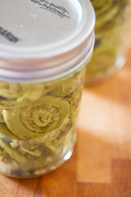 Pickled Fiddleheads
