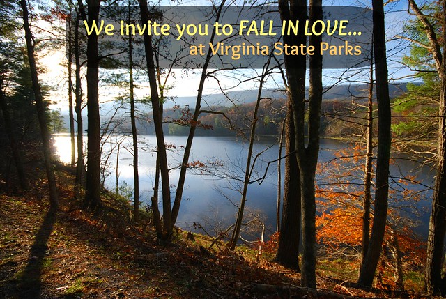 Fall in love with Virginia at Douthat State Park