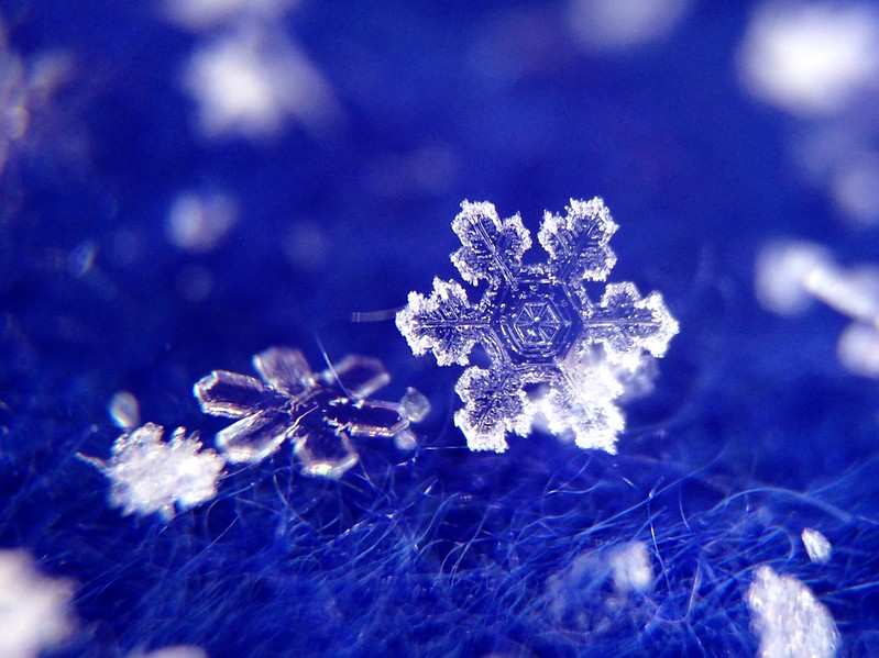 Snowflake (iPhone 5 & Olloclip)