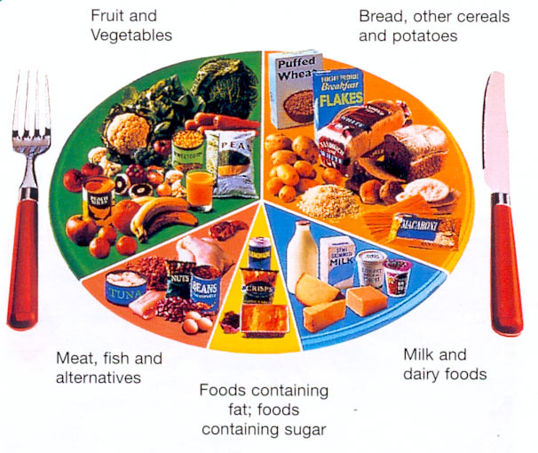 how slimming diet plan diagram