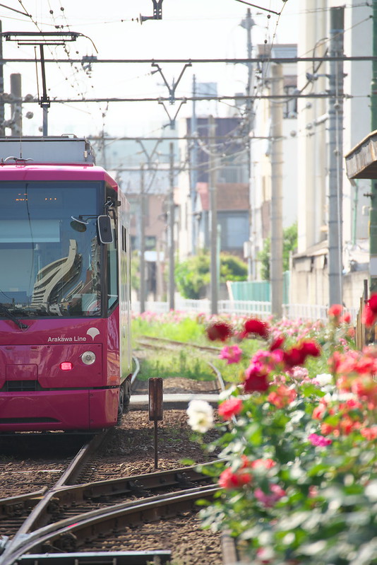 Tokyo Train Story 都電荒川線 2016年5月22日