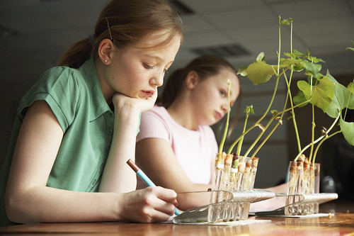 Students learn about agriculture by using materials available online through the Ag in the Classroom’s Matrix. (iStock image)