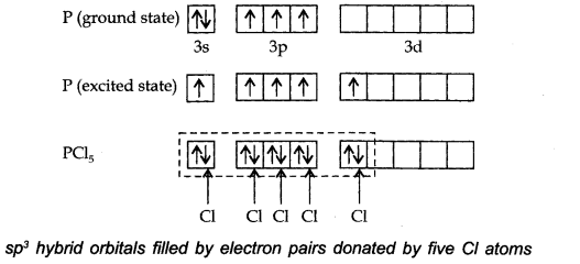 ncert-solutions-for-class-11-chemistry-chapter-4-chemical-bonding-and-molecular-structure-20