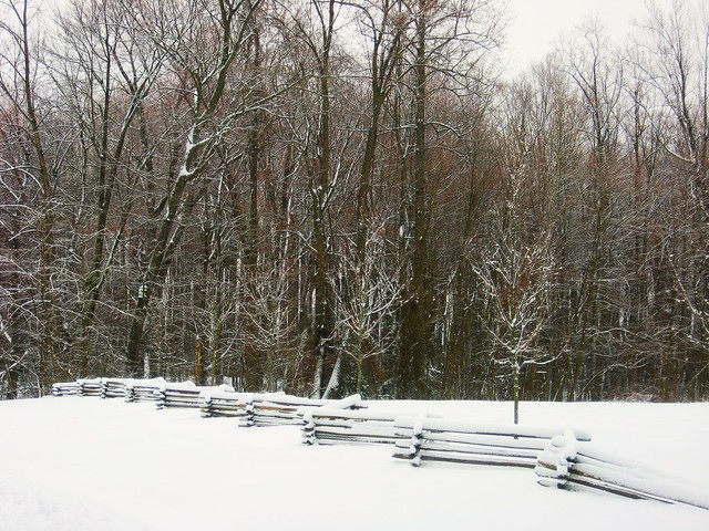 Leesylvania State Park in the snow