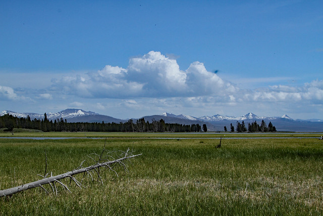 Pelican creek outlet trail yellowstone