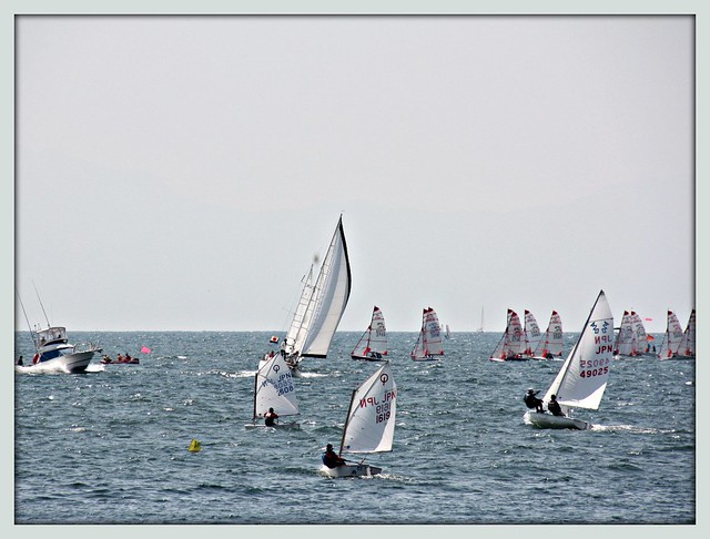 Tasar sailboats in the background racing