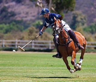 A Polo Shot by Vanessa Hughes of Lady Photographic