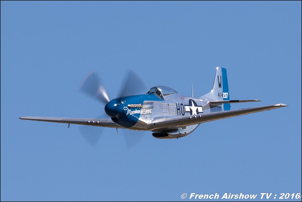 P-51D Mustang Moonbeam McSwine , F-AZXS , AKARY Frédéric ,Aerotorshow 2016 , gamstat 2016 , meeting aerien valence chabeuil 2016, Meeting Aerien 2016 , Canon Reflex , EOS System