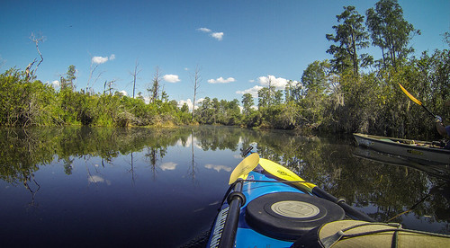 Lowcountry Unfiltered at Okefenokee-121